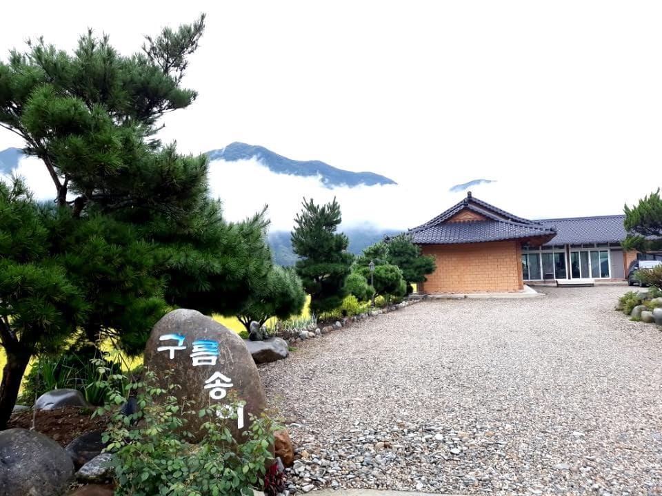 video Image